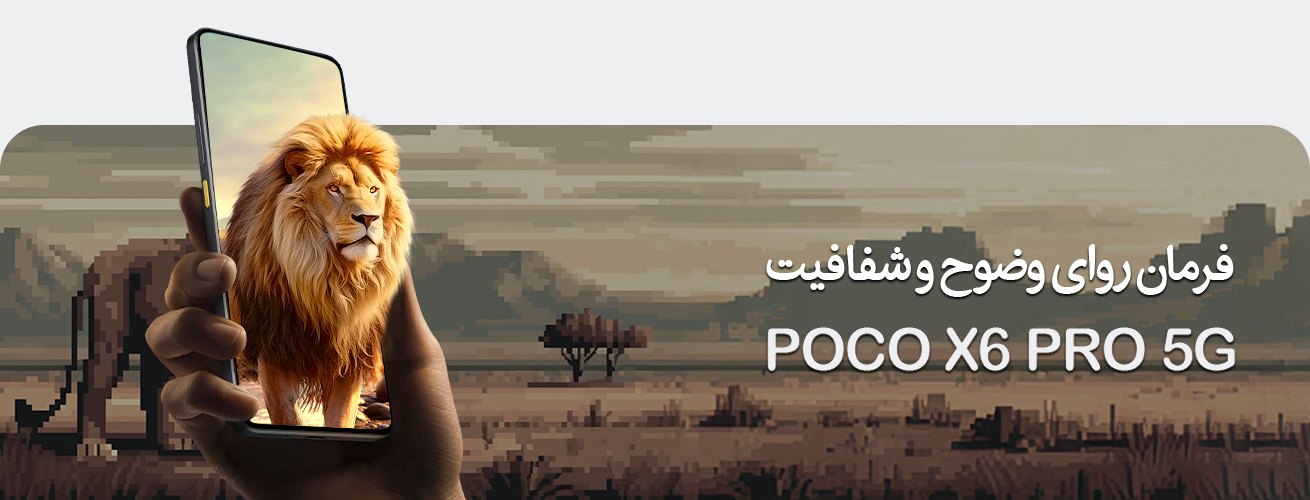 فرمان روای وضوح